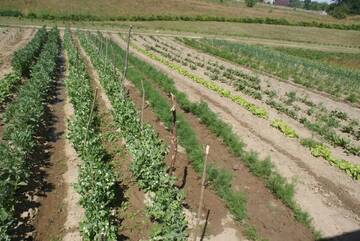 Фото номера Дом для отпуска Дома для отпуска Agrodomki Okej -Dom Koko г. Gardna Wielka 37